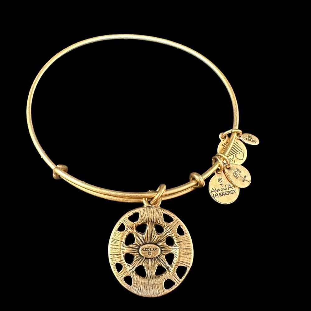 ALEX ANI Charm Bangle Bracelet Openwork Compass Rose Gold Tone Expandable Wire - Picture 6 of 12